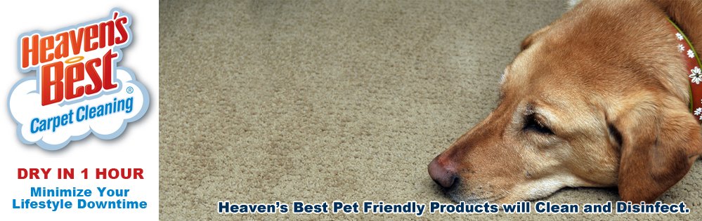 Heaven’s Best Pet Friendly Carpet Cleaning Mckinney, Frisco, TX