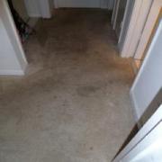 Before Carpet Cleaning in Mckinney