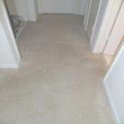 After Carpet Cleaning in Mckinney