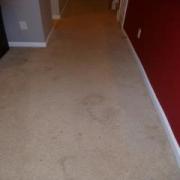 Before Carpet Cleaning in Plano