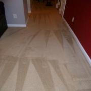 After Carpet Cleaning in Plano