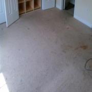 Carpet Cleaning Before Photo for Cleaning Job done in Mckinney