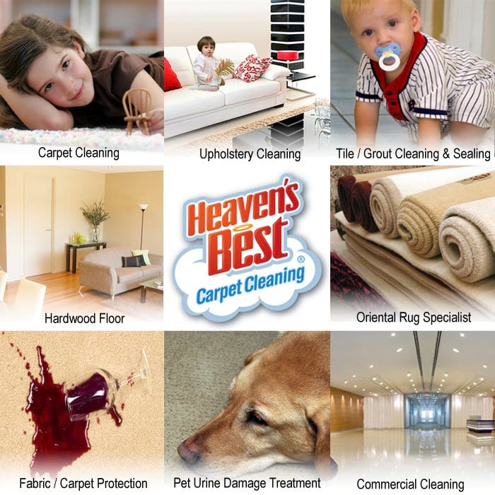 Why Choose Heaven’s Best Carpet Cleaning in McKinney, Frisco, TX?